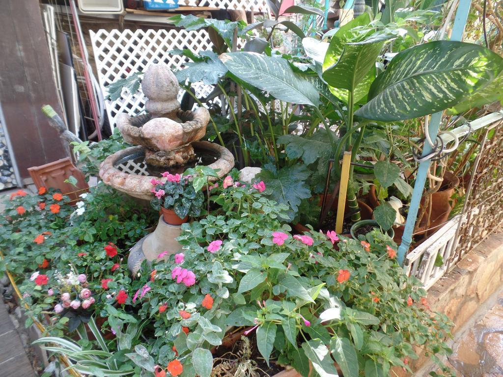 耶路撒冷Cozy Garden公寓 外观 照片