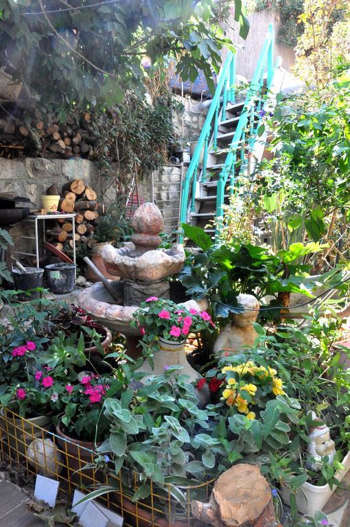 耶路撒冷Cozy Garden公寓 外观 照片