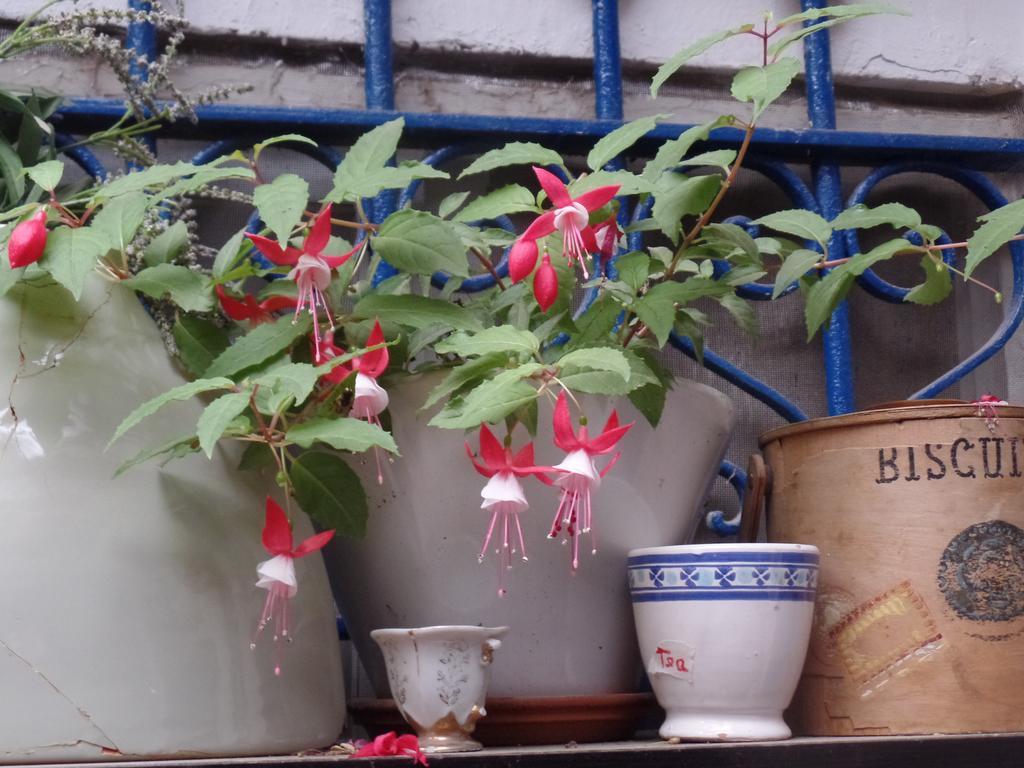 耶路撒冷Cozy Garden公寓 外观 照片