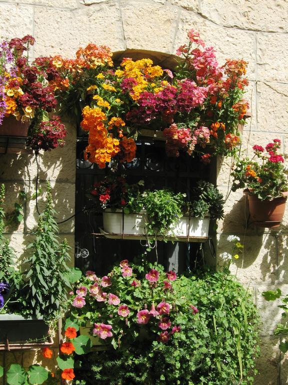 耶路撒冷Cozy Garden公寓 外观 照片