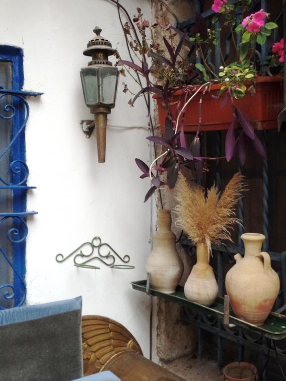 耶路撒冷Cozy Garden公寓 外观 照片