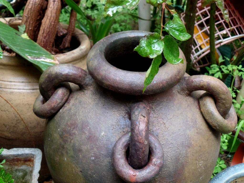 耶路撒冷Cozy Garden公寓 外观 照片