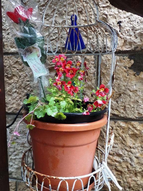 耶路撒冷Cozy Garden公寓 外观 照片