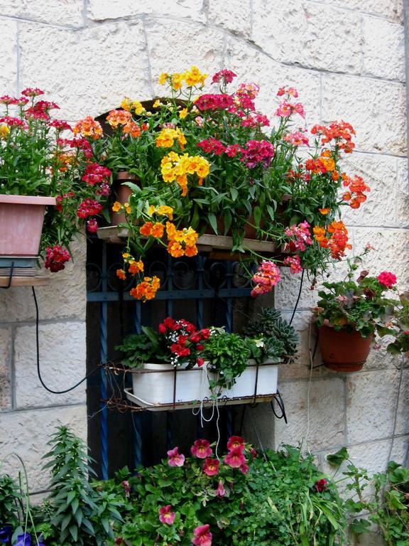 耶路撒冷Cozy Garden公寓 外观 照片