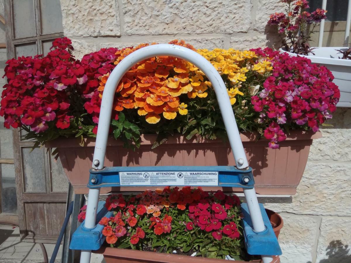 耶路撒冷Cozy Garden公寓 外观 照片